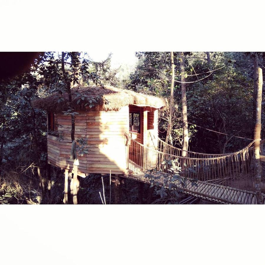 Bunjungle Adventures Hotel Kathmandu Luaran gambar